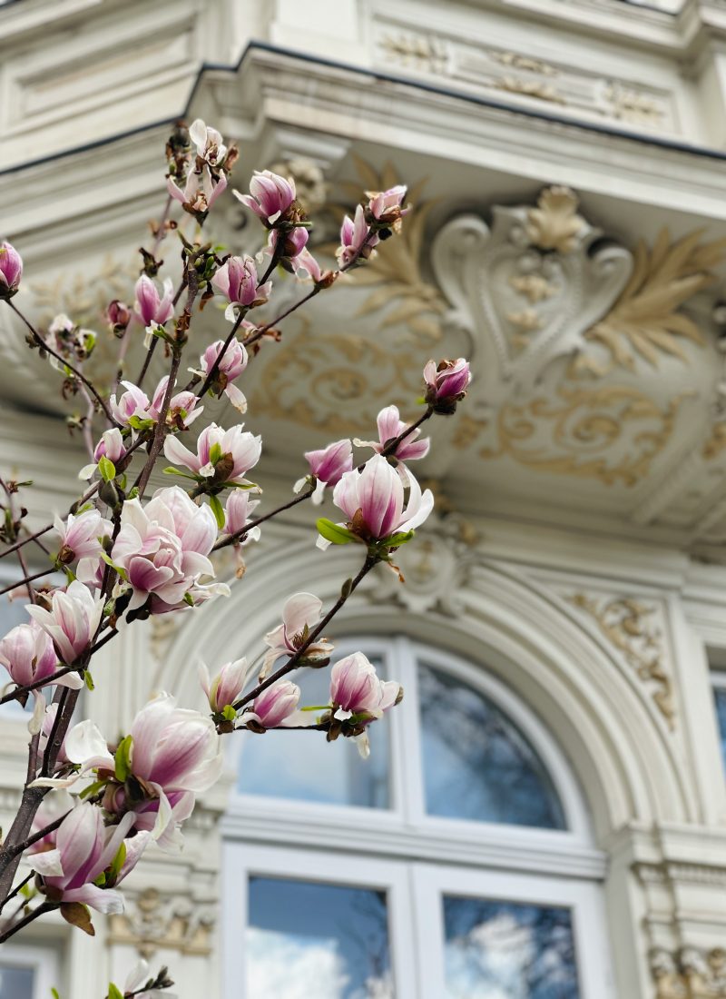 Paris im Frühling I Verpasse diese Highlights nicht!