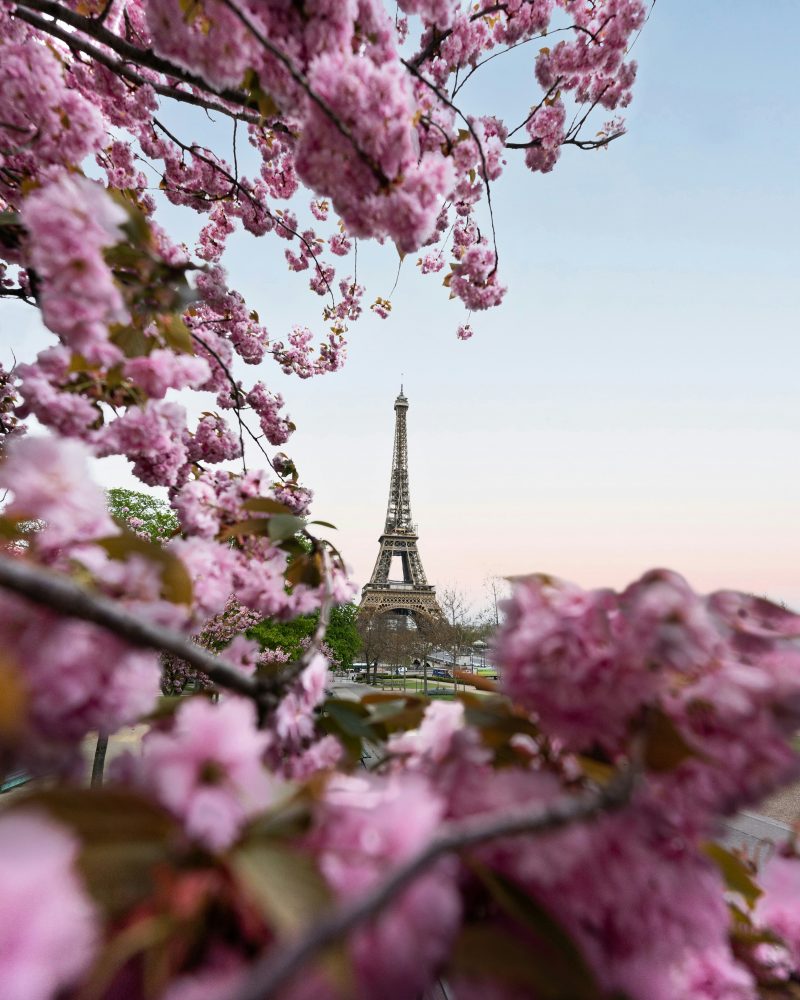 Paris Spring Top 5 Beautiful Places