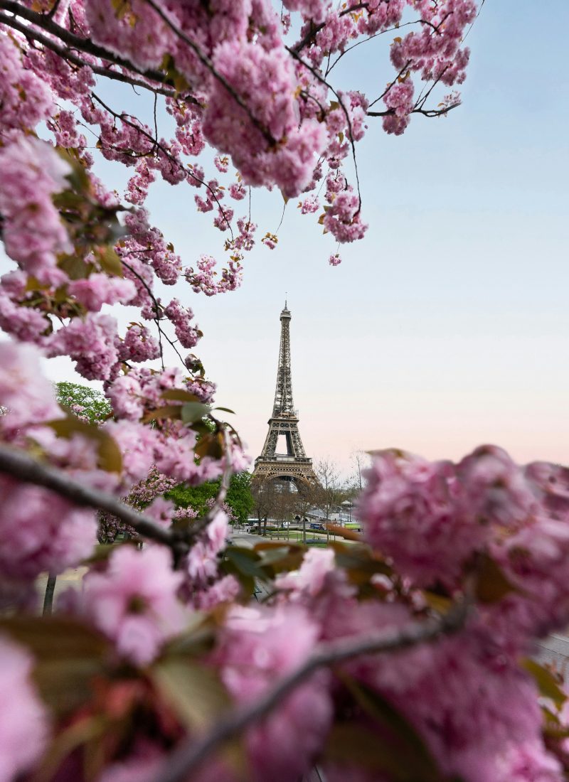 Paris im Frühling I Top 5 wunderschöne Orte