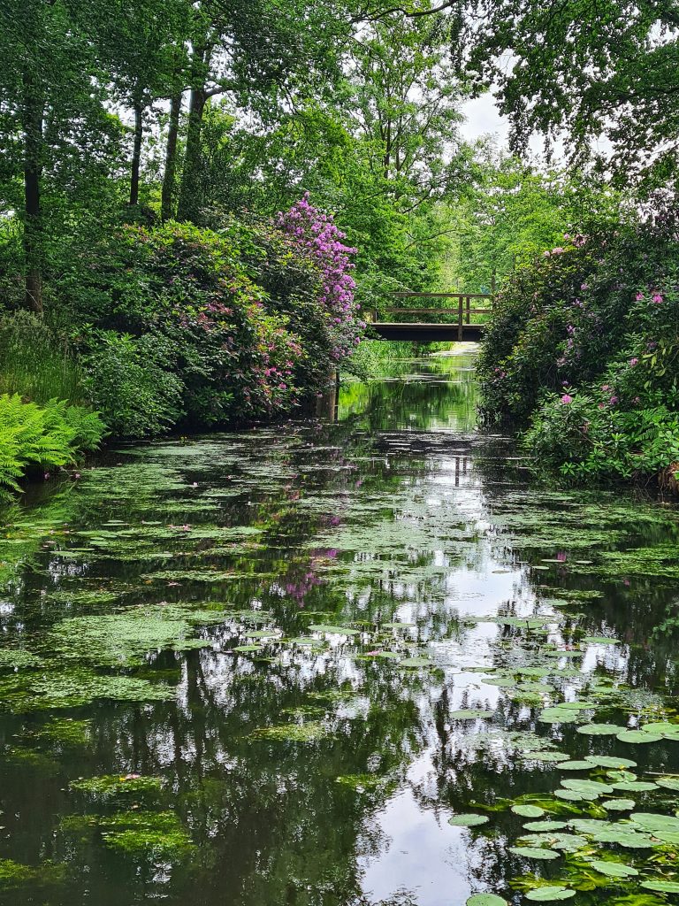 Monets Garten in Giverny – Persönliche Tipps & Highlights