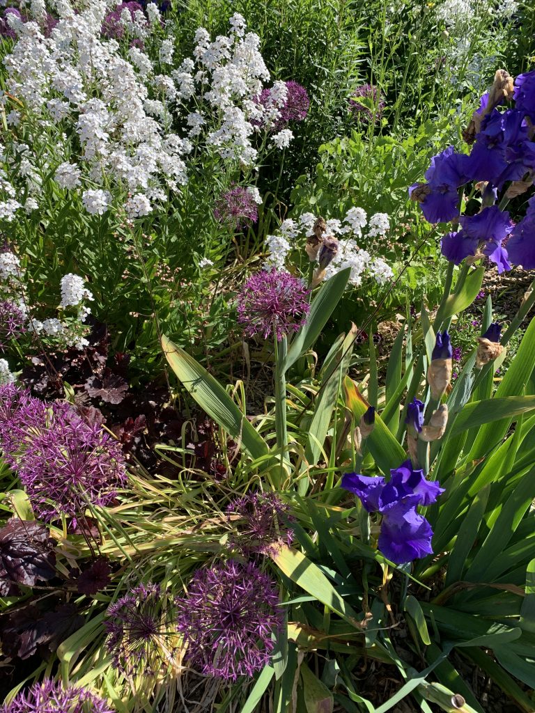 Städtetrip Paris 2026: Mode & Lifestyle Spots