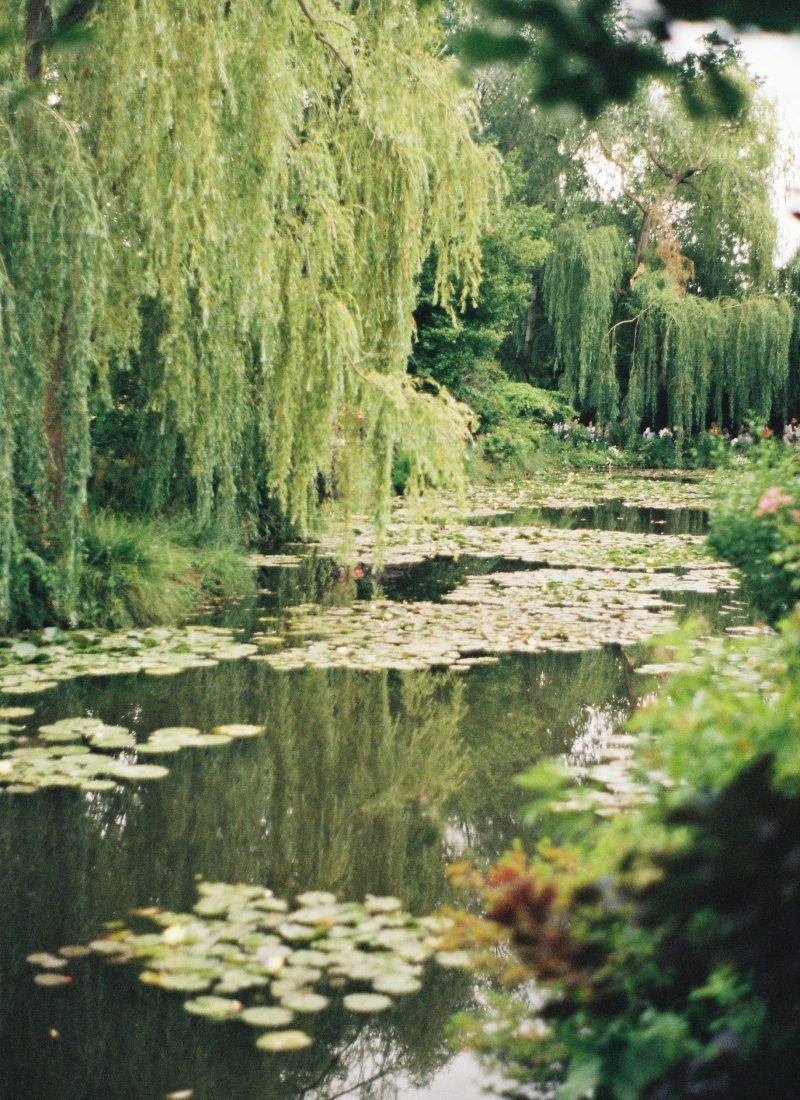 Musée de l’Orangerie – Persönliche Tipps & Highlights 2026